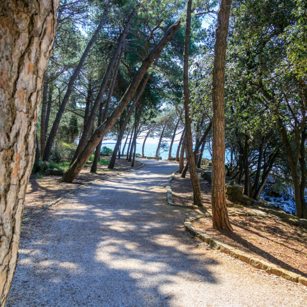 Cuvi, Cuvi Rovinj - Apartments right on the beach Rovinj