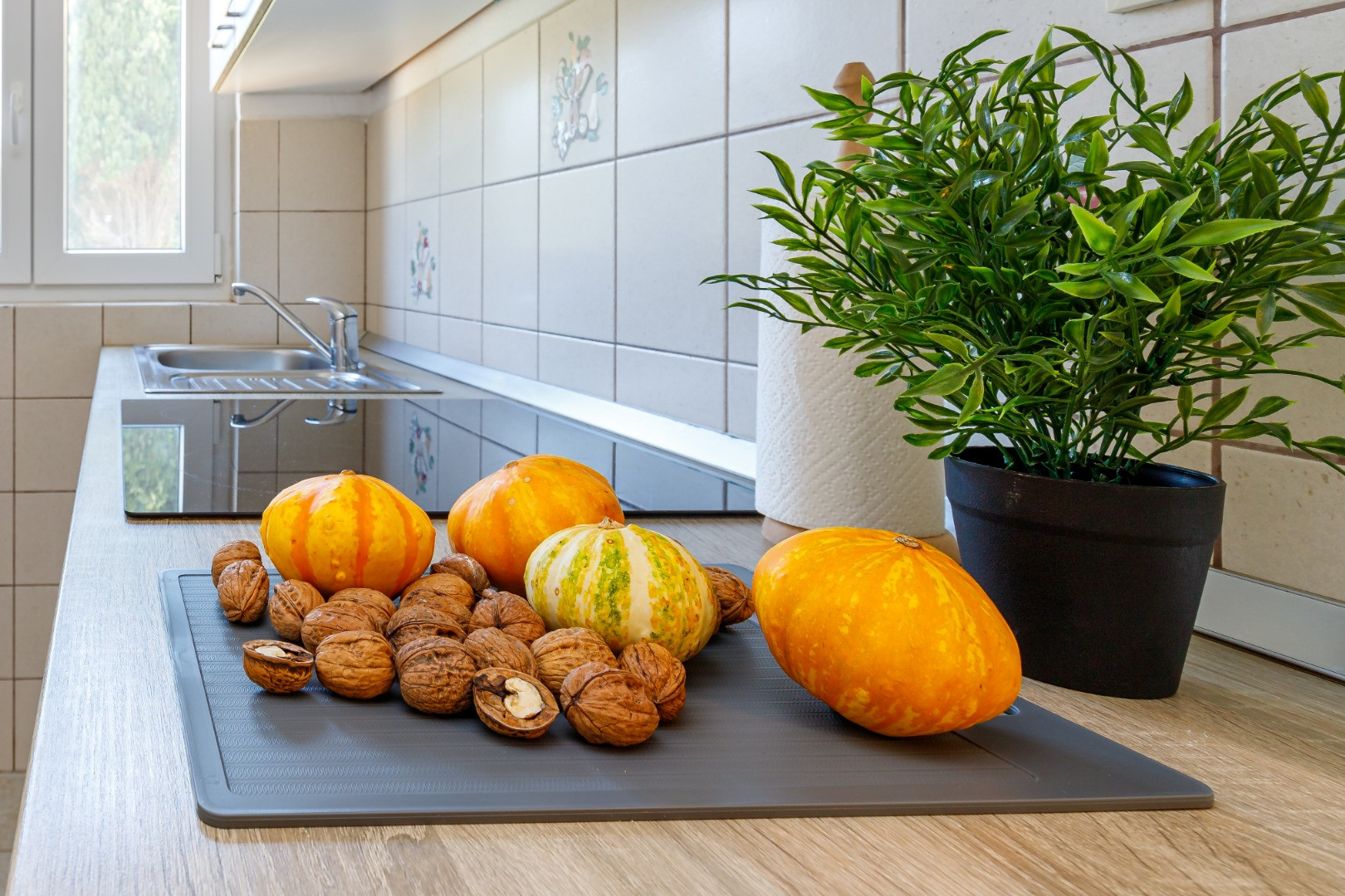 Cuvi Beach Apartments - Rovinj - Rovigno, Cuvi Rovinj - Apartments right on the beach Rovinj